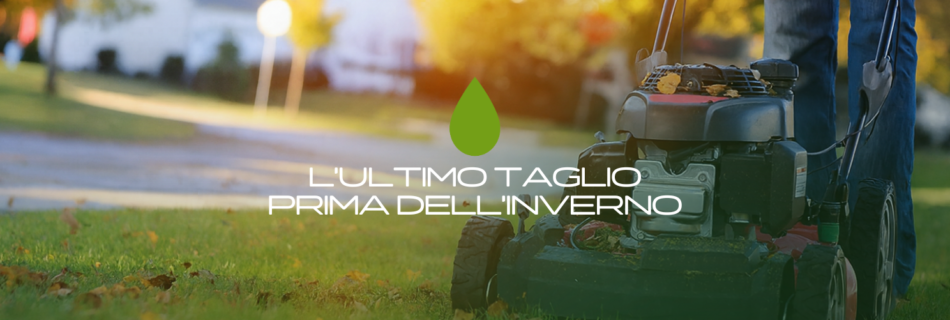 Scopri come eseguire correttamente l’ultimo taglio del prato prima dell’inverno: altezza ideale, errori da evitare e come proteggere il tappeto erboso dal freddo.