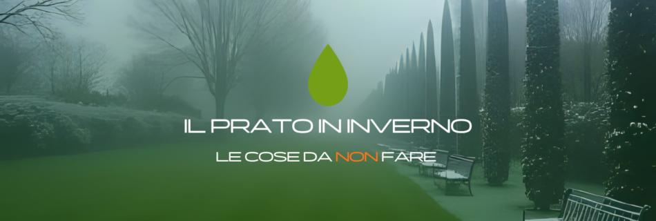 Scopri come proteggere il prato in inverno evitando gli errori più comuni. Guida completa su neve, brina, sale, irrigazione e concimazione.