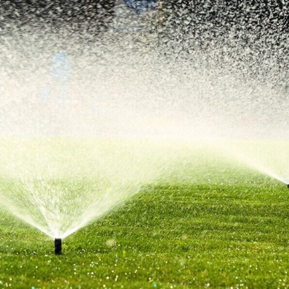 Prato irrigato nelle prime ore del mattino con irrigatori automatici, essenziale per recuperare il tappeto erboso dopo le vacanze estive.