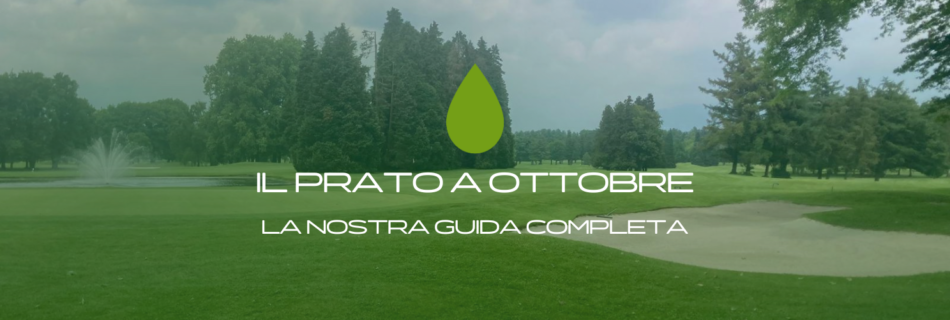 Scopri tutti i lavori da fare sul prato a ottobre: semine, trasemine, concimazione, irrigazione e prevenzione malattie. I consigli degli agronomi Emeraldgreen per un prato sano.