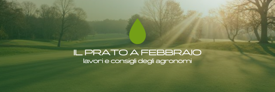 Il prato a febbraio è in una fase di transizione. Leggi i consigli degli agronomi Emeraldgreen su concimazione, semina, irrigazione e prevenzione delle malattie.