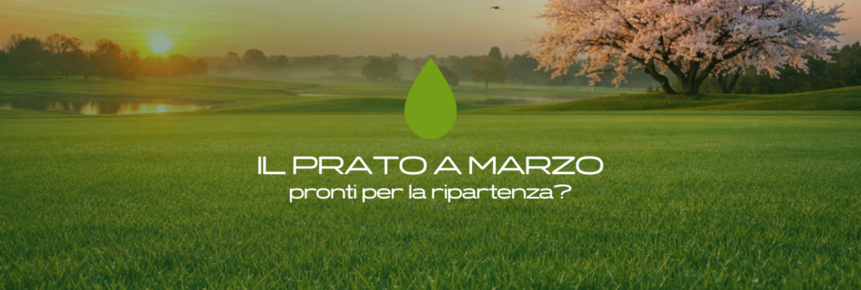 Il prato a marzo: concimazione, taglio, irrigazione e prevenzione. I consigli tecnici degli agronomi per la ripartenza primaverile.