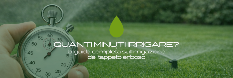 Quanti minuti irrigare il prato? Scopri perché il tempo non è il parametro corretto, come calcolare il fabbisogno idrico reale e migliorare l’efficienza dell’irrigazione riducendo gli sprechi.