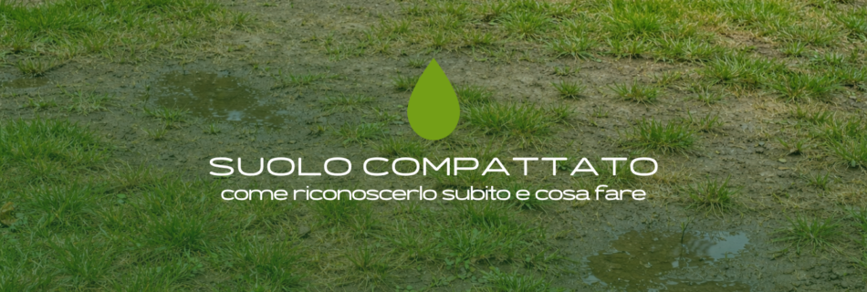 Il terreno del prato è duro e l’acqua non penetra? Scopri come riconoscere un terreno compattato nel prato e quali interventi fare per risolvere il problema.