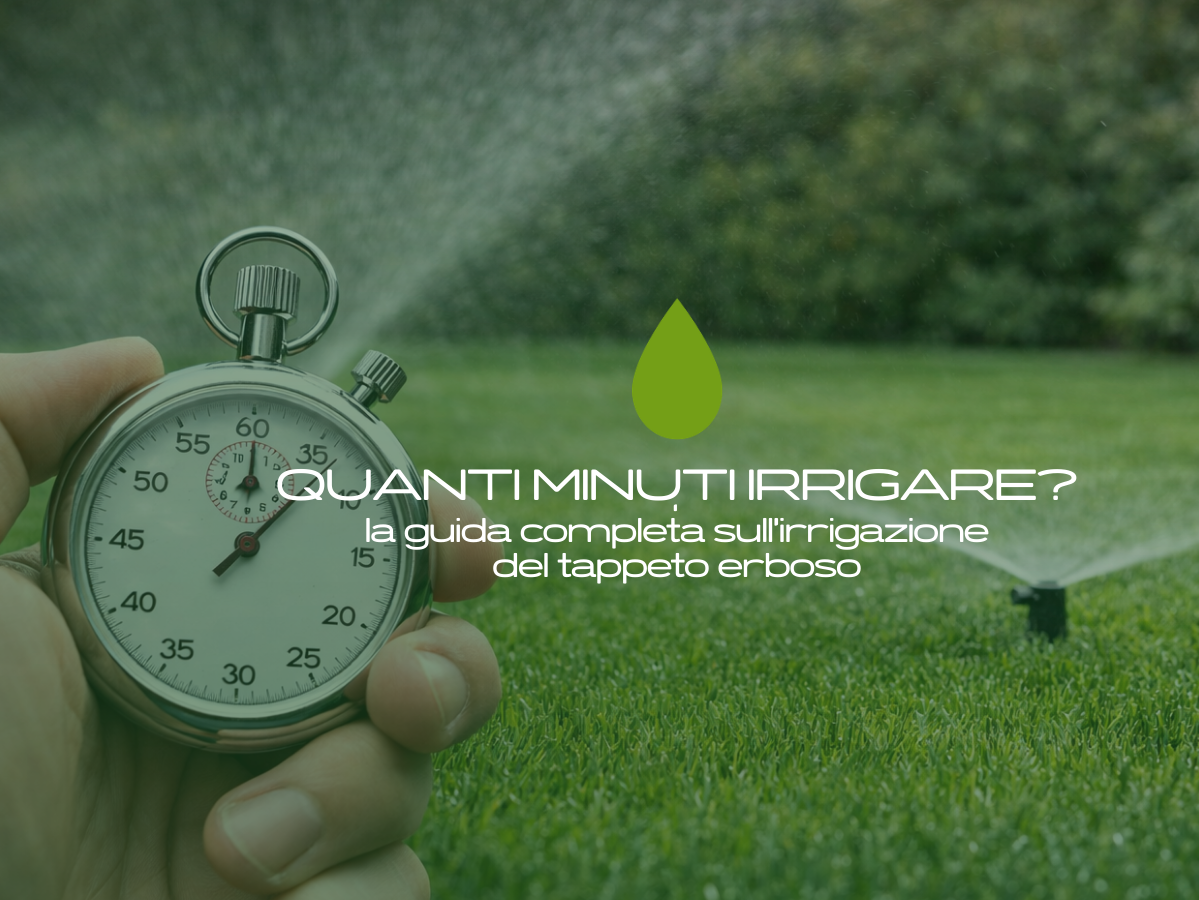 Quanti minuti irrigare il prato? Scopri perché il tempo non è il parametro corretto, come calcolare il fabbisogno idrico reale e migliorare l’efficienza dell’irrigazione riducendo gli sprechi.
