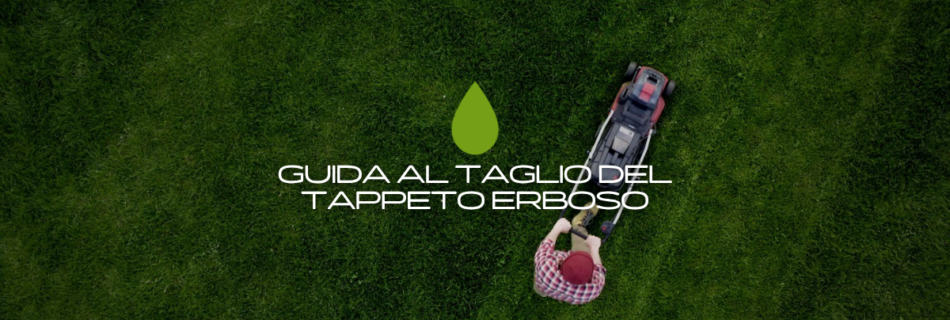Quanto deve essere alto il prato? Scopri l’altezza di taglio corretta per le microterme durante tutto l’anno e come ottenere un tappeto erboso sano, resistente e facile da gestire.
