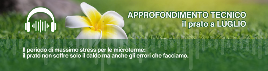 ascolta l'audio : Il prato a luglio. scopri come gestire irrigazione, taglio, nutrizione per proteggerlo da caldo, stress e malattie fungine.