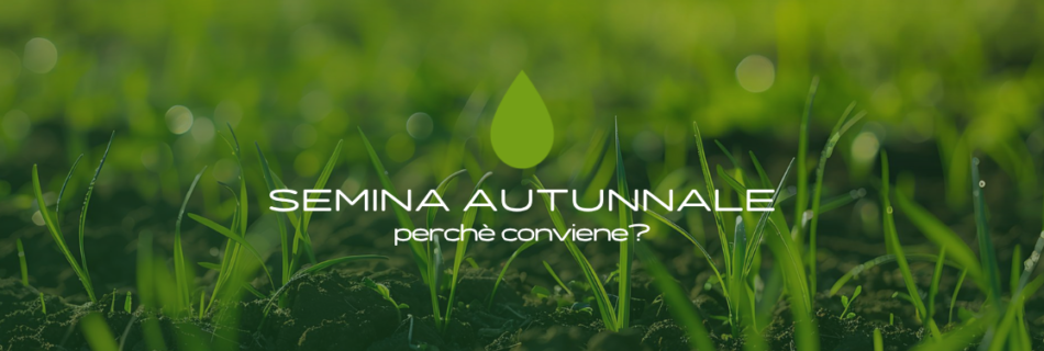 I 4 fattori che favoriscono la semina autunnale del prato
