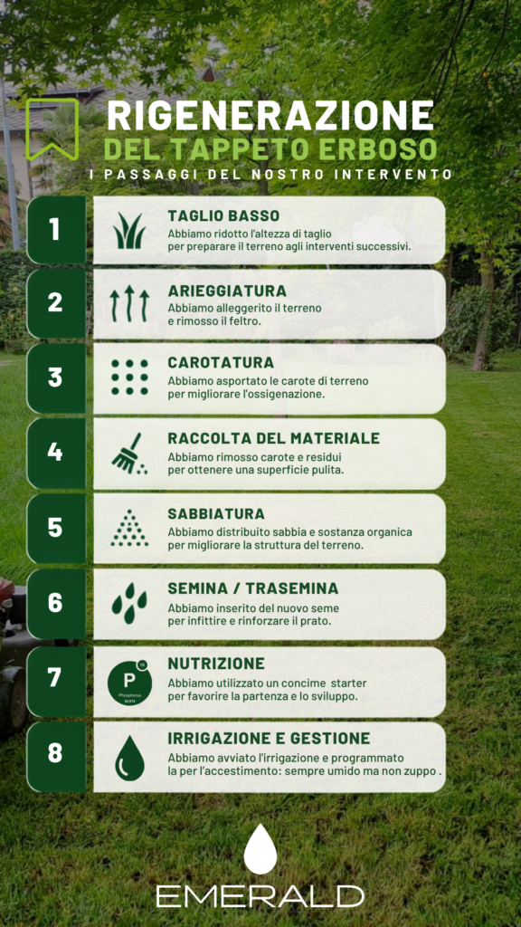 Operazione di carotatura del tappeto erboso con successiva sabbiatura e applicazione di Humic DG durante la rigenerazione autunnale del prato.